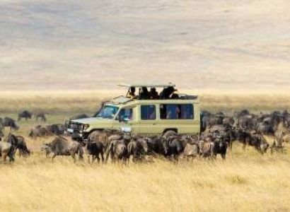 Serengeti 7 Days Safari Tour