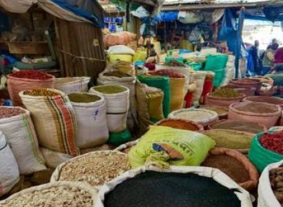 Addis Ababa Guided City Tour With Airport & Hotel Pick Up