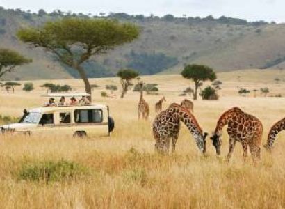 Nairobi - Masa Marai Safari Tour