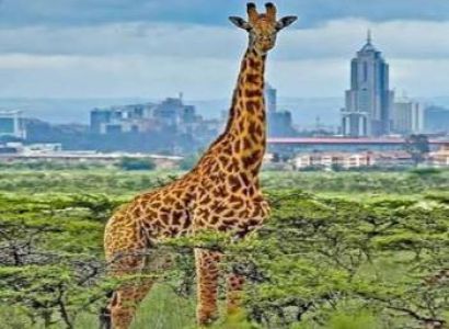 2 DAYS TANZANIA SAFARI