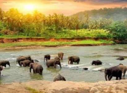Chennai to Kerala Hill Stations 3N/4D Luxury 45-Seater Coach Tour
