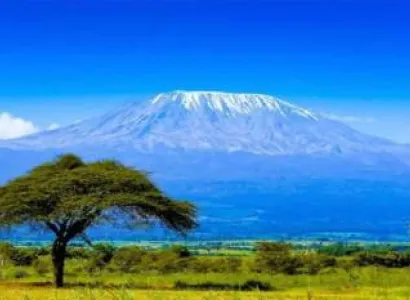 Private Kilimanjaro National Park Day Tour