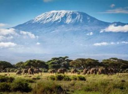 7 Days Kilimanjaro Trekking Machame Route Tour