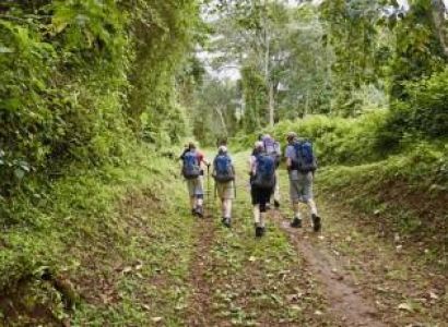 6 Days Kilimanjaro Climb Machame Route + 2Days hotel stay