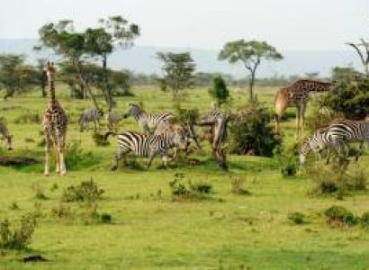 Tanzania Camping Safari