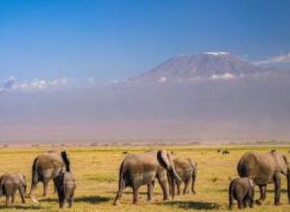12-Day Kenya - Tanzania Safari Journey Tour