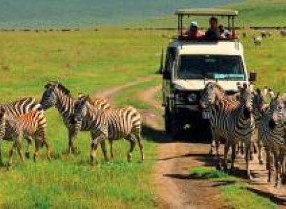 9-Day Tanzania Wildlife Safari Tour