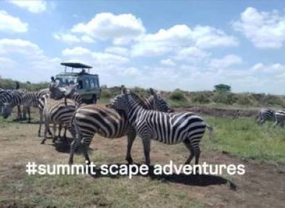 5-Day Serengeti Migration and Big Five Luxury Safari