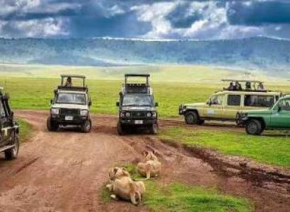 2 Days 1 Night Safaris