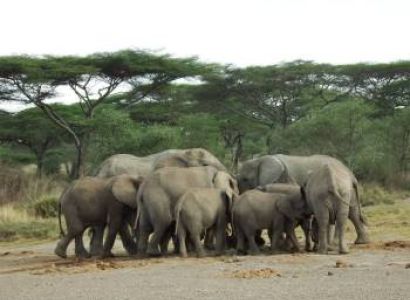 2 Days Tanzania Safari Tour