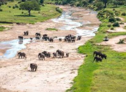 3 Days Tanzania Safari Tour