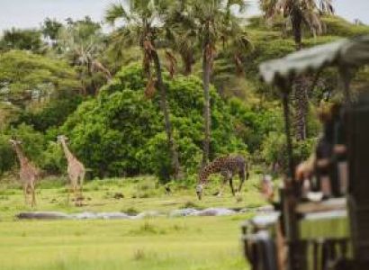 4 Days Tanzania Safari Tour