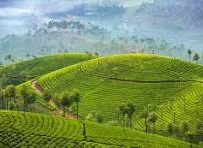 5N - 6D Gangtok - Darjeeling - Pelling Tour Package