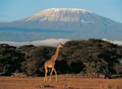 13-Day Northern Tanzania Safari And Zanzibar Adventure Tour