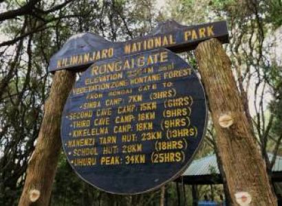 8 Days Climb Mount Kilimanjaro - Rongai Route - 79 km Tour