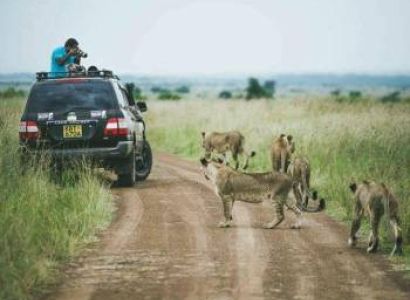 Nairobi City Tour Package 2 Days - 1 Night