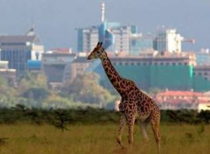 Featured Package - Minar Wild And Water 10-Day