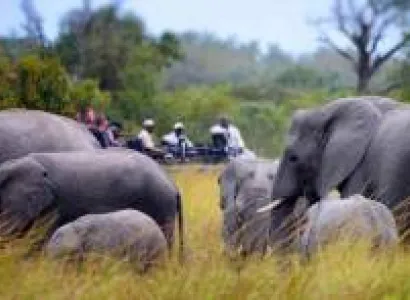 4 Days Amboseli - Tsavo West Tour