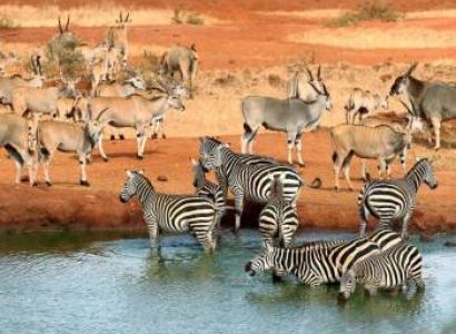 3-Day Tsavo East Safari Tour