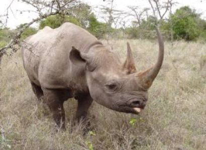 3 Days Samburu National Park Package