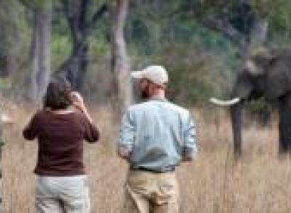 9 Days Wildlife And Trekking Safari Tour
