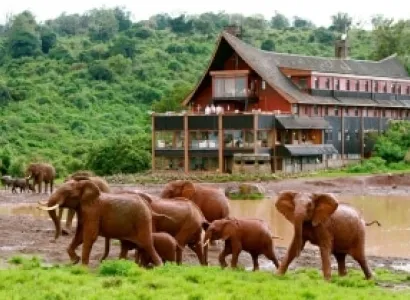 10 Days Private Wildlife Safari Adventure In Kenya Tour