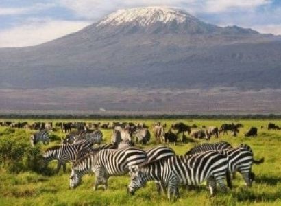 2-Day Amboseli Private Safari Tour