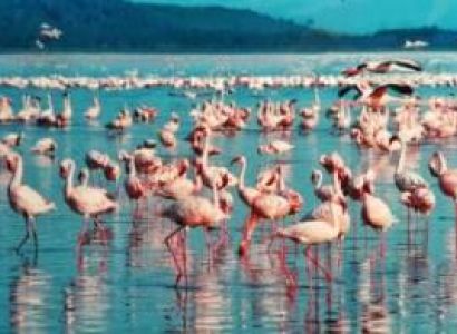 3 Days Lake Nakuru Safari Tour