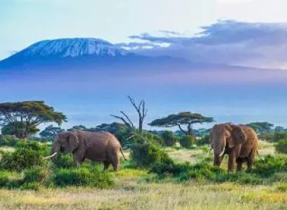 Amboseli Safari On Budget Tour