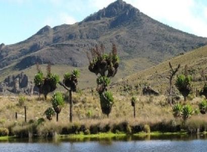 Mount Elgon National Park Safari Tour