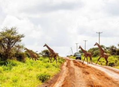 15 Days Rustic Kenya Wildlife And Beach Safari Tour
