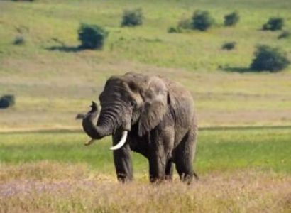 Arusha 5D/4N Budget Travel Package