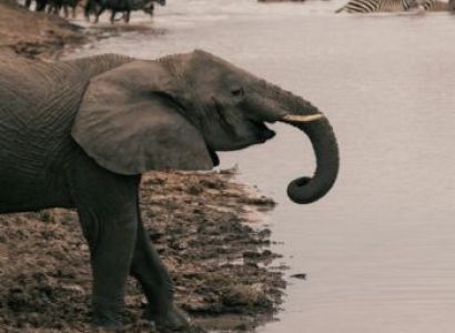Budget Arusha Tour Package - 6 Days