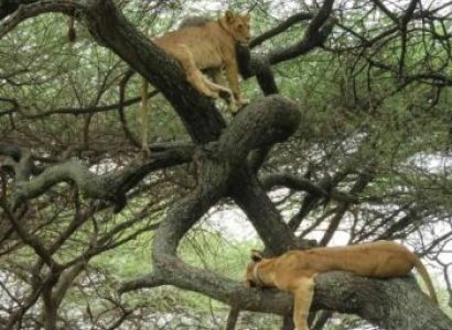 Zanzibar & Arusha 8 Days Budget Tour Package