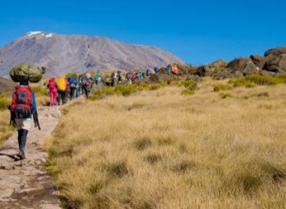 8 Days Kilimanjaro Tour Package - Budget