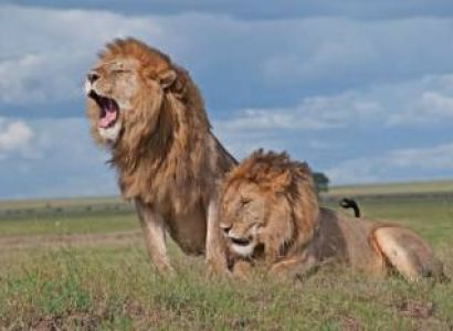 Maasai Mara Group Joining Package