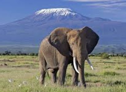 3 Days Amboseli Road Package