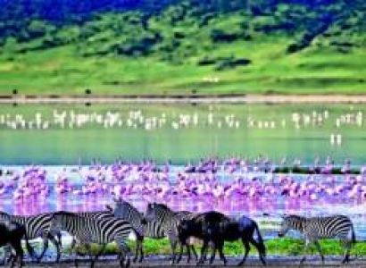 9-Day Best of Tanzania Wildlife Safari & Zanzibar Beaches