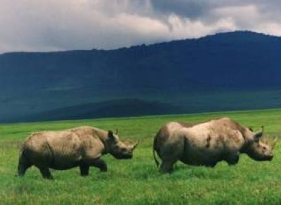 4 Days Safaris Ngorongoro and Serengeti mid-range safari