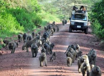 7Days Tanzania Wildlife Safari And Culture Experience