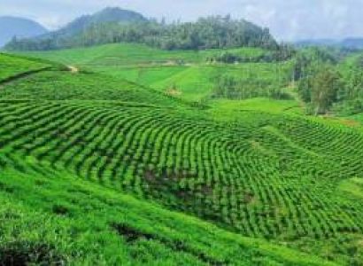 Kerala Holiday Package 8 Nights - 9 Days