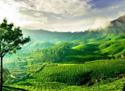 Kerala 7 Nights - 8 Days Including Kovalam Beach Tour