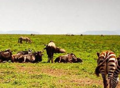 Zanzibar Holiday - 05 Days Of Beach - Adventure Tour