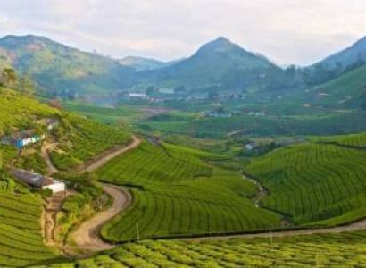 SEO-Rich Itinerary: Chennai to Kerala Hill Stations 3N/4D Luxury 10+1 CARAVAN Tour
