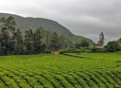 Chennai to Kerala Hill Stations 3N/4D Luxury 16+1 URBANIA Tour