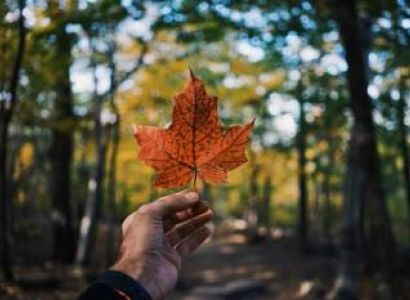 Discover Canada - Flight Included 6 Nights - 7 Days Tour