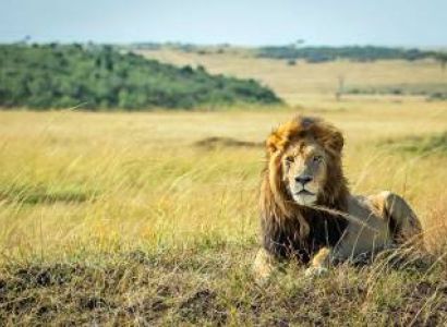 2 Nights 3Days Nairobi to Kisumu Tour
