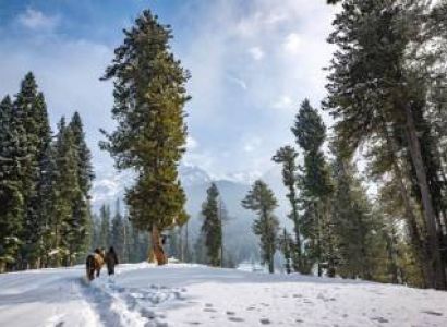 Kashmir Landscape 6 Nights - 7 Days Tour