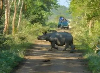 Shillong and Kaziranga Tour Package for 5 Nights and 6 Days