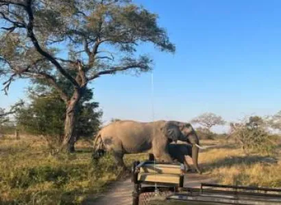 African Budget Safari 7 Days - 6 Nights Tour